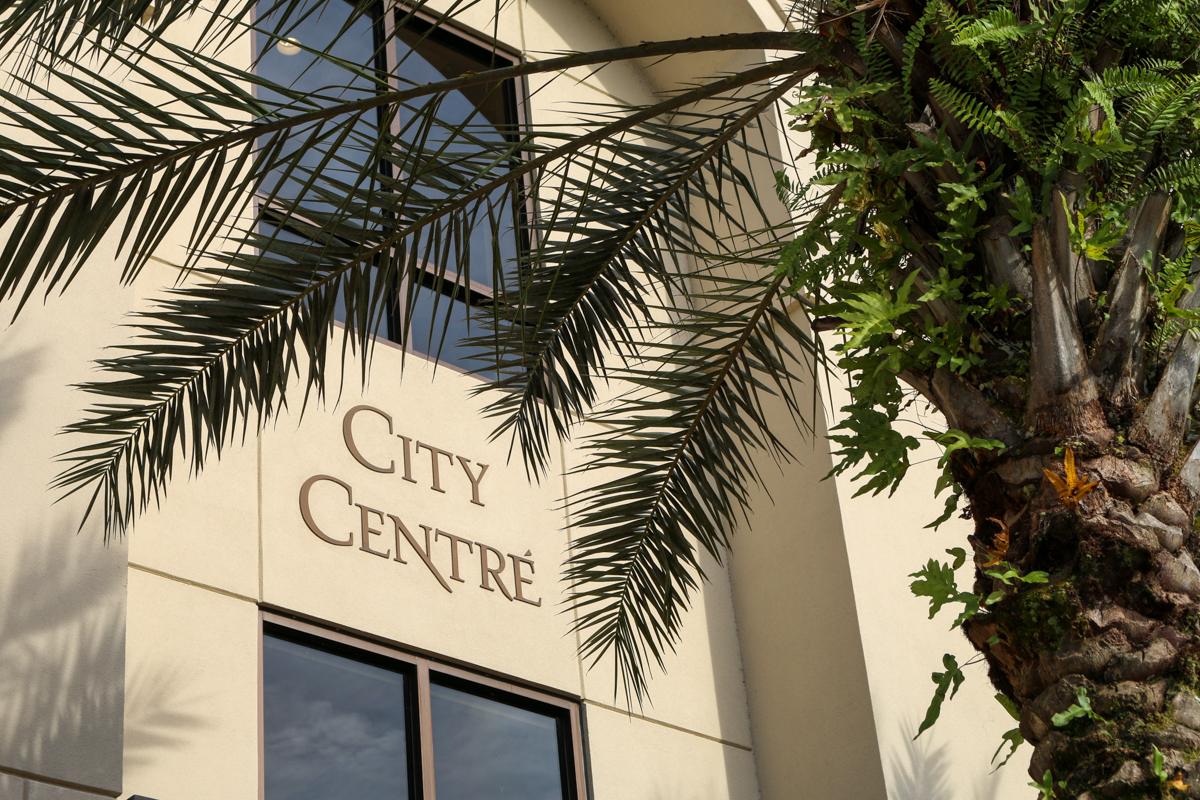 一幢写着“城市中心”的建筑物前，部分被一棵棕榈树覆盖