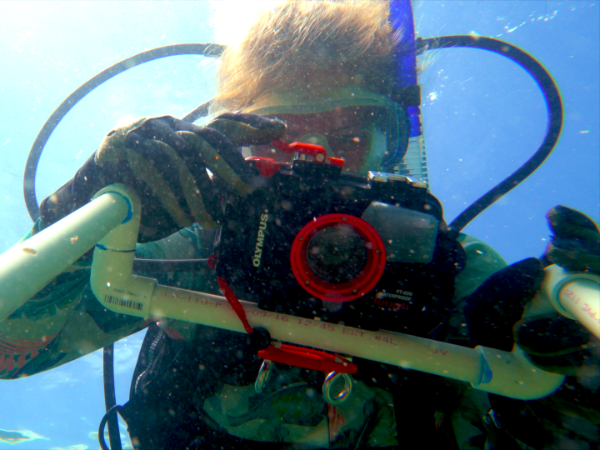 海洋生物学学生在水下拍摄珊瑚。